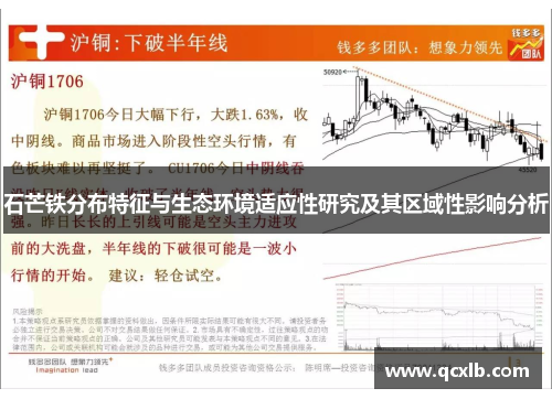 石芒铁分布特征与生态环境适应性研究及其区域性影响分析
